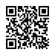 QR Code (код быстрого отклика)