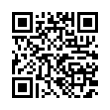 QR Code (код быстрого отклика)