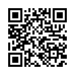 QR Code (код быстрого отклика)