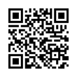 QR Code (код быстрого отклика)