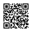 QR Code (код быстрого отклика)