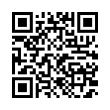 QR Code (код быстрого отклика)