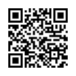 QR Code (код быстрого отклика)