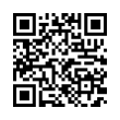 QR Code (код быстрого отклика)