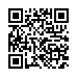 QR Code (код быстрого отклика)