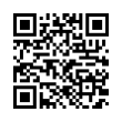 QR Code (код быстрого отклика)