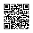 QR Code (код быстрого отклика)