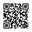 QR Code (код быстрого отклика)