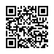 QR Code (код быстрого отклика)