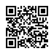 QR Code (код быстрого отклика)