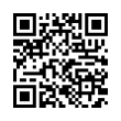 QR Code (код быстрого отклика)