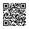 QR Code (код быстрого отклика)