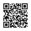 QR Code (код быстрого отклика)