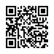 QR Code (код быстрого отклика)