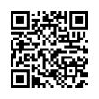 QR Code (код быстрого отклика)