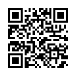 QR Code (код быстрого отклика)