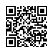 QR Code (код быстрого отклика)