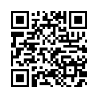 QR Code (код быстрого отклика)