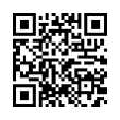 QR Code (код быстрого отклика)