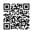 QR Code (код быстрого отклика)