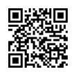 QR Code (код быстрого отклика)