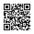 QR Code (код быстрого отклика)