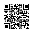 QR Code (код быстрого отклика)