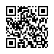 QR Code (код быстрого отклика)