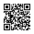 QR Code (код быстрого отклика)