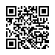 QR Code (код быстрого отклика)