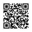 QR Code (код быстрого отклика)