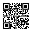 QR Code (код быстрого отклика)