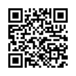 QR Code (код быстрого отклика)