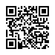 QR Code (код быстрого отклика)