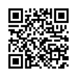 QR Code (код быстрого отклика)