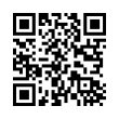 QR Code (код быстрого отклика)