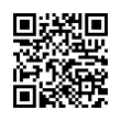 QR Code (код быстрого отклика)