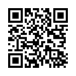 QR Code (код быстрого отклика)