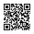 QR Code (код быстрого отклика)