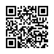 QR Code (код быстрого отклика)