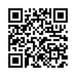 QR Code (код быстрого отклика)