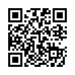 QR Code (код быстрого отклика)