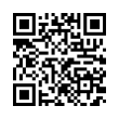 QR Code (код быстрого отклика)