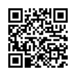 QR Code (код быстрого отклика)