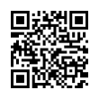 QR Code (код быстрого отклика)