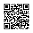 QR Code (код быстрого отклика)