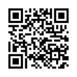 QR Code (код быстрого отклика)