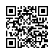 QR Code (код быстрого отклика)