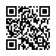 QR Code (код быстрого отклика)