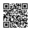 QR Code (код быстрого отклика)